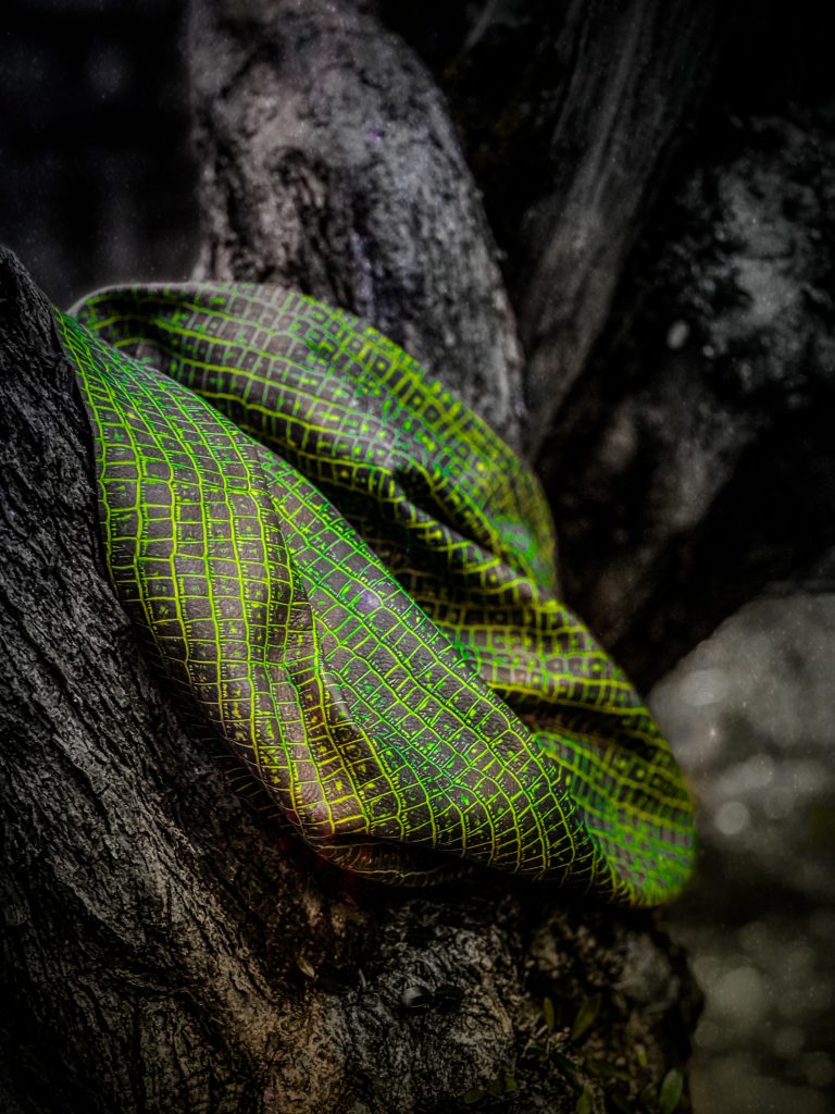 Entenda porque o Couro é sustentável