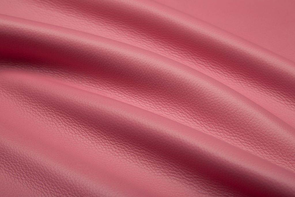 Saiba tudo sobre a Lei do Couro